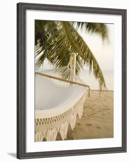 Woven Hammock under Palm Tree-Merrill Images-Framed Photographic Print