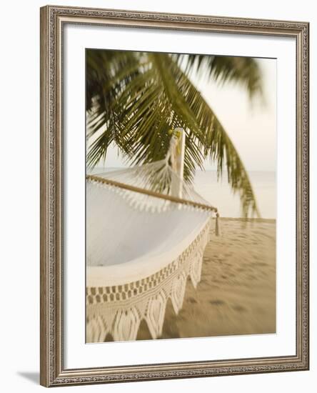 Woven Hammock under Palm Tree-Merrill Images-Framed Photographic Print