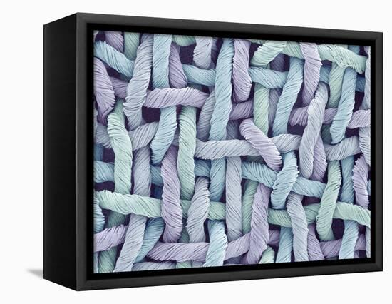 Woven Synthetic Fabric-Micro Discovery-Framed Premier Image Canvas