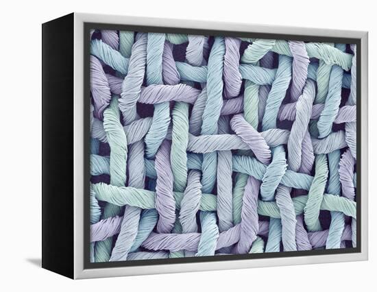 Woven Synthetic Fabric-Micro Discovery-Framed Premier Image Canvas