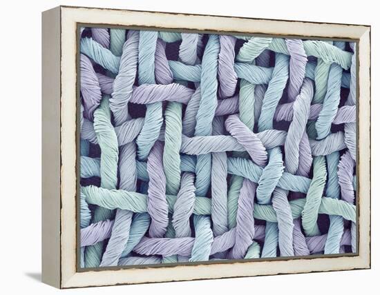 Woven Synthetic Fabric-Micro Discovery-Framed Premier Image Canvas