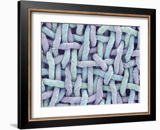 Woven Synthetic Fabric-Micro Discovery-Framed Photographic Print