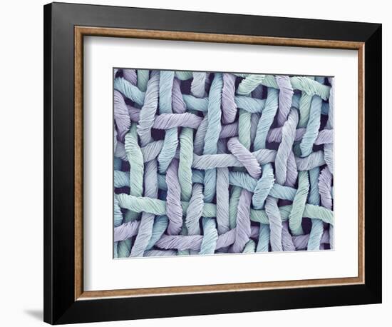Woven Synthetic Fabric-Micro Discovery-Framed Photographic Print