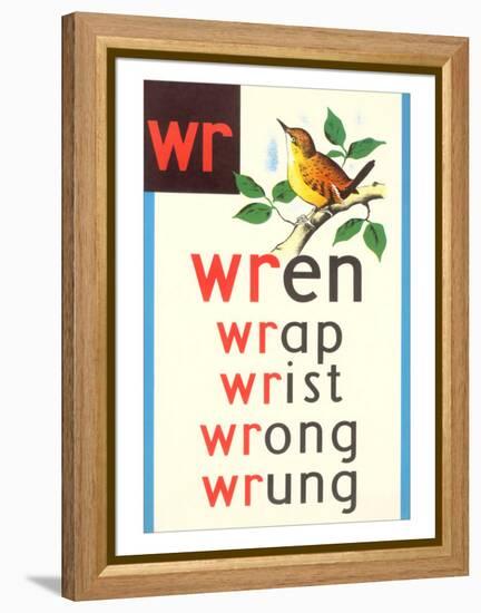 WR for Wren-null-Framed Stretched Canvas