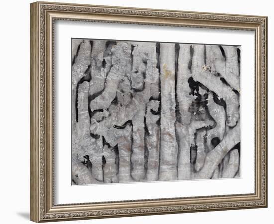 Wrack Lines III-Tyson Estes-Framed Giclee Print