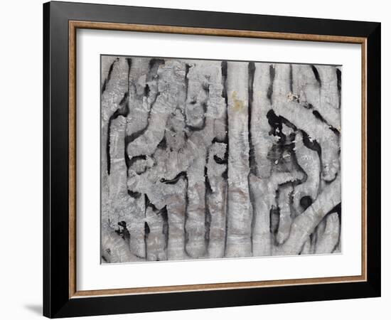 Wrack Lines III-Tyson Estes-Framed Giclee Print