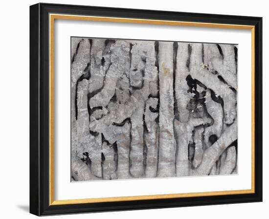 Wrack Lines III-Tyson Estes-Framed Giclee Print