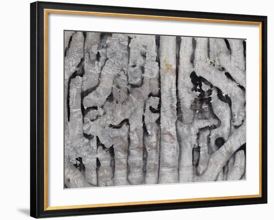 Wrack Lines III-Tyson Estes-Framed Giclee Print