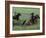 Wranglers Horseback Riding, Boulder River Valley, Montana, USA-Jamie & Judy Wild-Framed Photographic Print