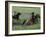 Wranglers Horseback Riding, Boulder River Valley, Montana, USA-Jamie & Judy Wild-Framed Photographic Print