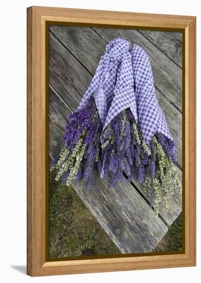 Wrapped Bouquets of Dried Lavender at Lavender Festival, Sequim, Washington, USA-Merrill Images-Framed Premier Image Canvas