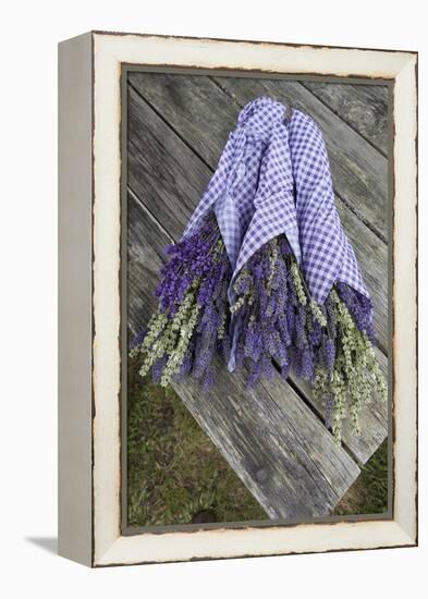 Wrapped Bouquets of Dried Lavender at Lavender Festival, Sequim, Washington, USA-Merrill Images-Framed Premier Image Canvas