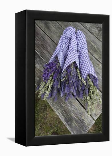 Wrapped Bouquets of Dried Lavender at Lavender Festival, Sequim, Washington, USA-Merrill Images-Framed Premier Image Canvas