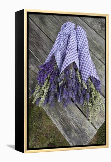 Wrapped Bouquets of Dried Lavender at Lavender Festival, Sequim, Washington, USA-Merrill Images-Framed Premier Image Canvas