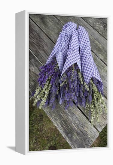 Wrapped Bouquets of Dried Lavender at Lavender Festival, Sequim, Washington, USA-Merrill Images-Framed Premier Image Canvas