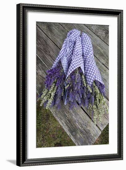 Wrapped Bouquets of Dried Lavender at Lavender Festival, Sequim, Washington, USA-Merrill Images-Framed Photographic Print