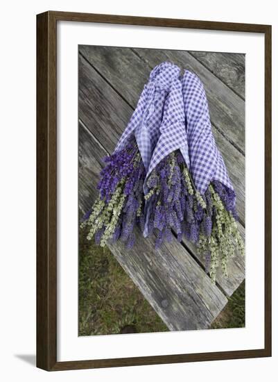 Wrapped Bouquets of Dried Lavender at Lavender Festival, Sequim, Washington, USA-Merrill Images-Framed Photographic Print