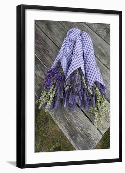 Wrapped Bouquets of Dried Lavender at Lavender Festival, Sequim, Washington, USA-Merrill Images-Framed Photographic Print