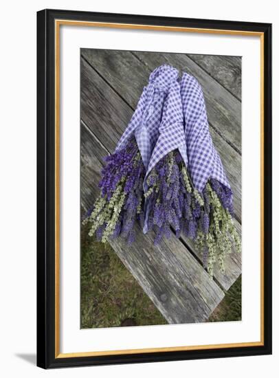 Wrapped Bouquets of Dried Lavender at Lavender Festival, Sequim, Washington, USA-Merrill Images-Framed Photographic Print