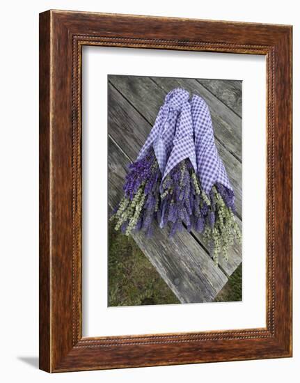 Wrapped Bouquets of Dried Lavender at Lavender Festival, Sequim, Washington, USA-Merrill Images-Framed Photographic Print