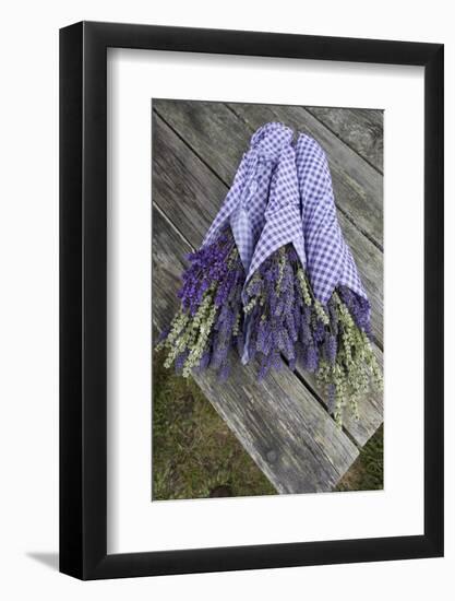 Wrapped Bouquets of Dried Lavender at Lavender Festival, Sequim, Washington, USA-Merrill Images-Framed Photographic Print