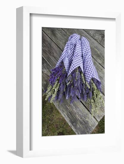 Wrapped Bouquets of Dried Lavender at Lavender Festival, Sequim, Washington, USA-Merrill Images-Framed Photographic Print