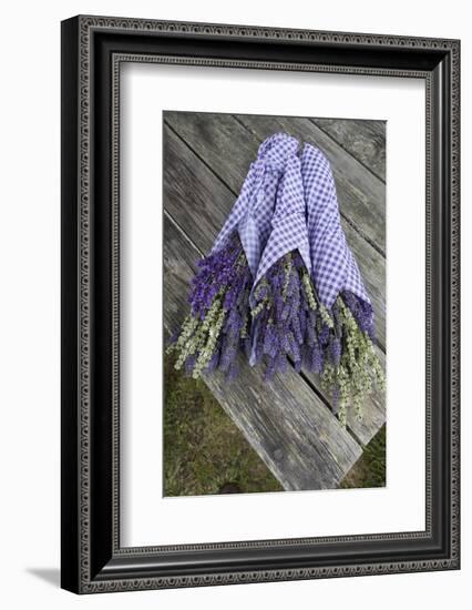 Wrapped Bouquets of Dried Lavender at Lavender Festival, Sequim, Washington, USA-Merrill Images-Framed Photographic Print