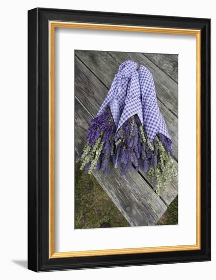 Wrapped Bouquets of Dried Lavender at Lavender Festival, Sequim, Washington, USA-Merrill Images-Framed Photographic Print