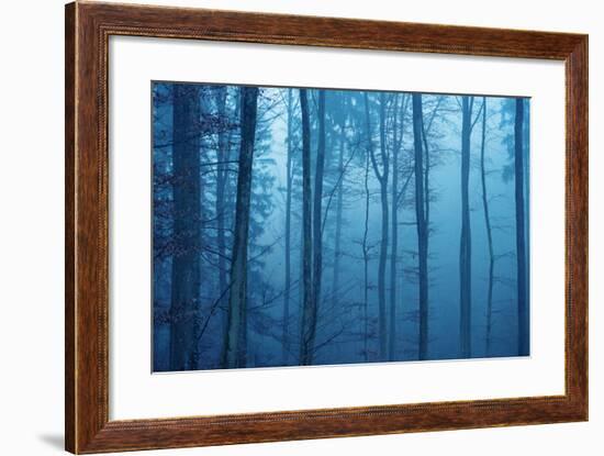 Wrapped in Blue-Philippe Sainte-Laudy-Framed Premium Photographic Print