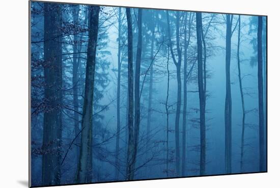 Wrapped in Blue-Philippe Sainte-Laudy-Mounted Premium Photographic Print