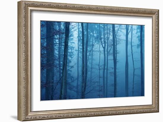 Wrapped in Blue-Philippe Sainte-Laudy-Framed Photographic Print