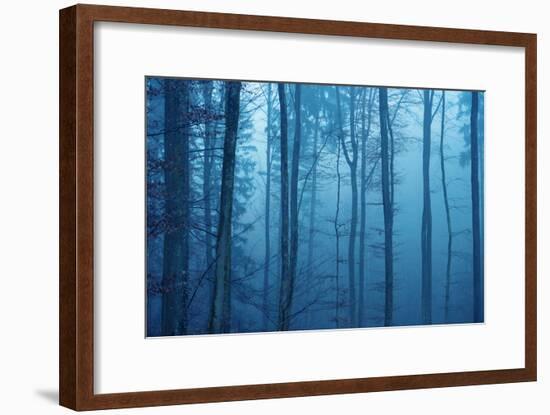 Wrapped in Blue-Philippe Sainte-Laudy-Framed Photographic Print