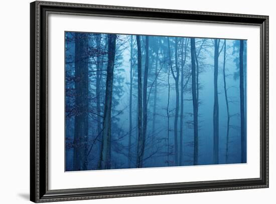 Wrapped in Blue-Philippe Sainte-Laudy-Framed Photographic Print