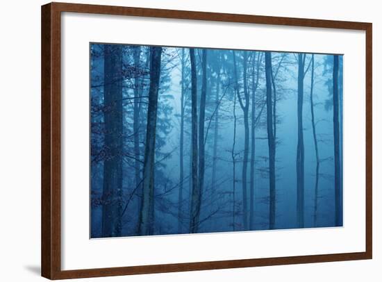 Wrapped in Blue-Philippe Sainte-Laudy-Framed Photographic Print