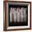 Wrapped Wine Bottles, 2010-Lincoln Seligman-Framed Giclee Print