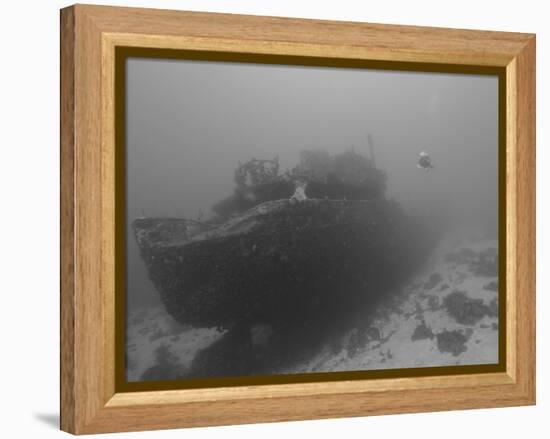 Wreck Diving on the Superior Producer in Curacao-Stocktrek Images-Framed Premier Image Canvas