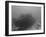 Wreck Diving on the Superior Producer in Curacao-Stocktrek Images-Framed Photographic Print