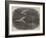 Wreck of an Egyptian Vessel of War in the Black Sea-null-Framed Giclee Print