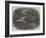 Wreck of an Egyptian Vessel of War in the Black Sea-null-Framed Giclee Print