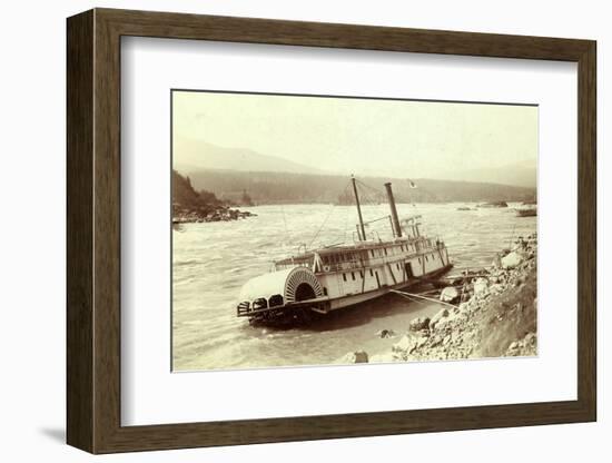 Wreck of Regulator-null-Framed Photographic Print