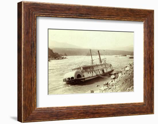 Wreck of Regulator-null-Framed Photographic Print