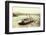 Wreck of Regulator-null-Framed Photographic Print