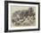 Wreck of the Frankland in Cemaes Bay-null-Framed Giclee Print