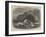 Wreck of the General Grant on the Auckland Islands-null-Framed Giclee Print