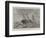 Wreck of the Peninsular and Oriental Company's Steamer Tasmania, on the Monk Rocks, Corsica-null-Framed Giclee Print