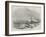 Wreck of The Waterman Steamer, Off Hastings-null-Framed Giclee Print