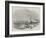 Wreck of The Waterman Steamer, Off Hastings-null-Framed Giclee Print