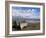 Wrecked Fishing Boats Near Salen, Isle of Mull, Inner Hebrides, Scotland, United Kingdom, Europe-Neale Clarke-Framed Photographic Print