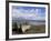 Wrecked Fishing Boats Near Salen, Isle of Mull, Inner Hebrides, Scotland, United Kingdom, Europe-Neale Clarke-Framed Photographic Print