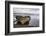 Wrecks of Fishing Boats, Near Salen, Isle of Mull-Gary Cook-Framed Photographic Print